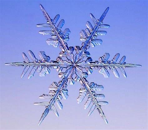 The Mwgif Snowflake as a Symbol of Winter's Tranquility